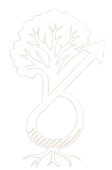 Ankurvriksh Enterprises