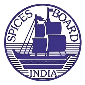 WhatsApp_Image_2025-11-11_at_10.10.11_PM-removebg-preview